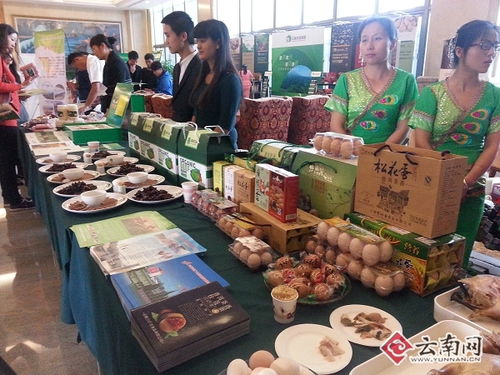 食品加工業(yè)的概述